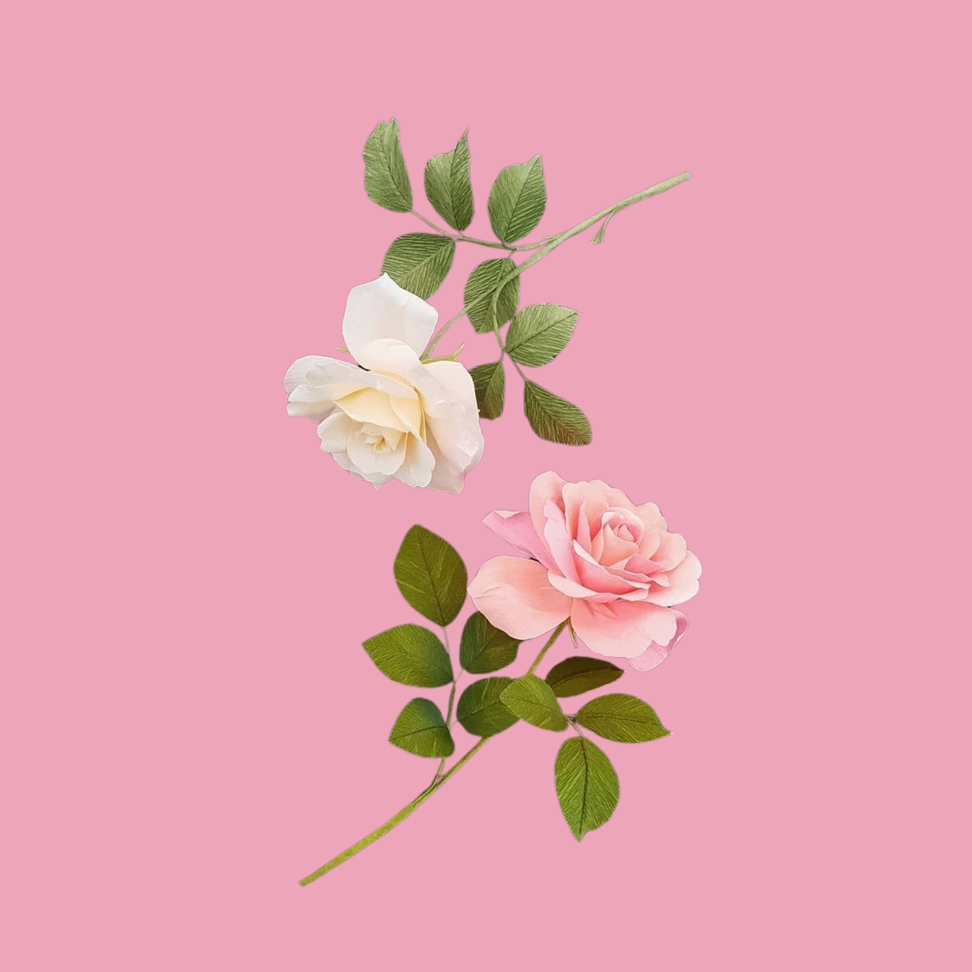 Rose-based Korean skincare for soft, glowing skin. Bestsellers