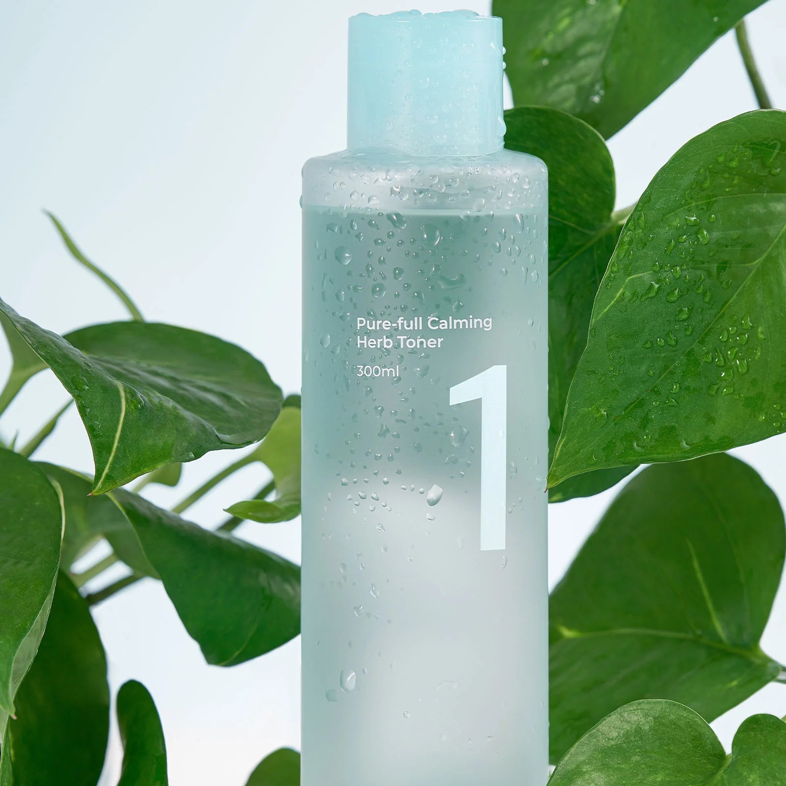 numbuzin toners Numbuzin No.1 Pure-Full Calming Herb Toner (300 ml) featuring a sleek, minimalistic bottle design with key calming herbs like Centella Asiatica, Houttuynia Cordata, and Licorice.