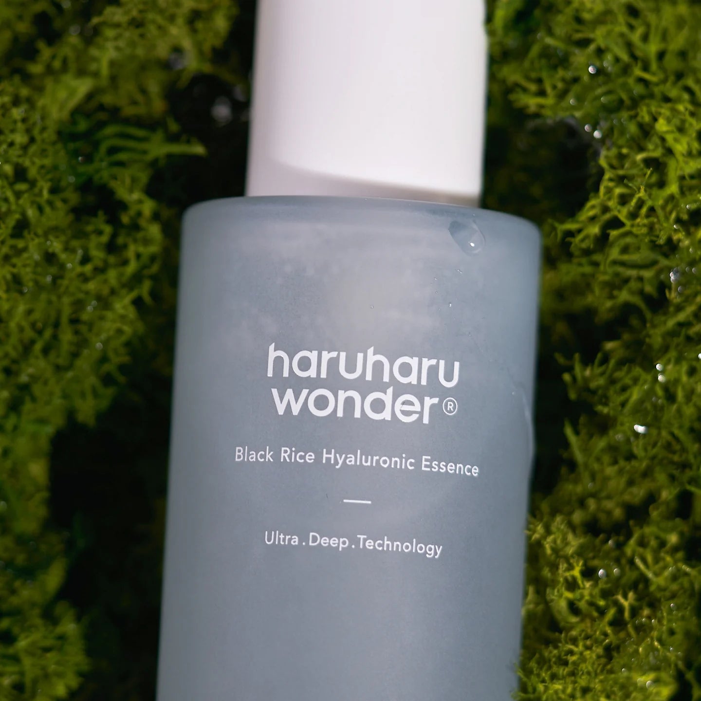 Haruharu Wonder Black Rice Hyaluronic Essence showcasing its lightweight texture and non-greasy formula