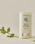 Beauty of Joseon Matte Sun Stick with a non-greasy matte formula that controls oil and shine, leaving a smooth, soft finish on the skin