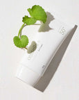 Mixsoon Centella Sun Cream – Lightweight, non-greasy sunscreen with SPF 50+ PA++++ for broad-spectrum UV protection and soothing benefits from Centella Asiatica.