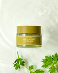 I'm From Mugwort Cream, a gentle moisturizer with 73.55% mugwort extract that hydrates, soothes, and restores balance to sensitive and irritated skin