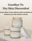 Mixsoon Bean Cream – A deeply hydrating and nourishing skincare cream, featuring key ingredients like fermented soybean extract, Korean pear, pomegranate, and barley for a radiant complexion.