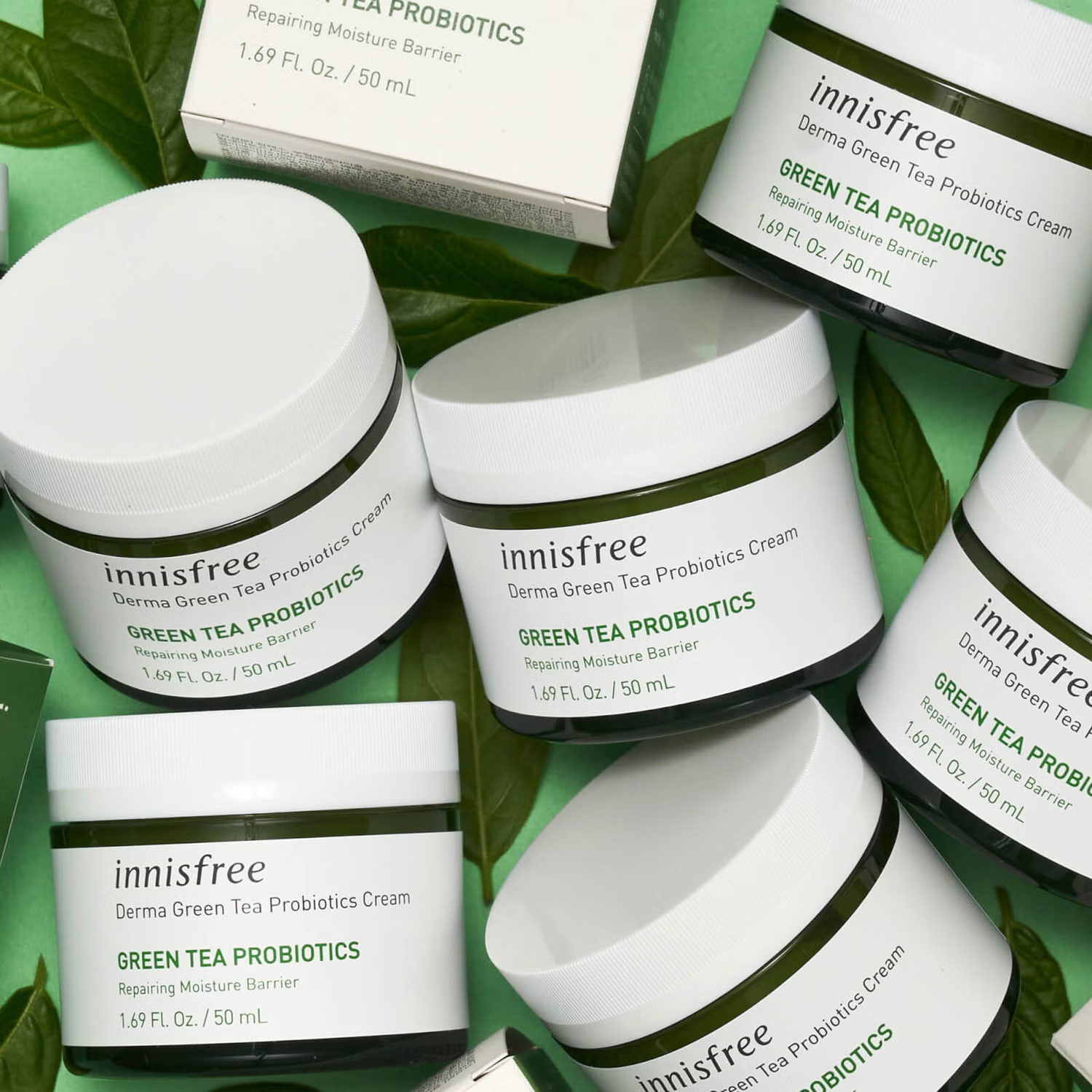 Innisfree Derma Green Tea Probiotics Cream – 50g jar with fermented green tea probiotics, nourishing and repairing the skin barrier for lasting hydration