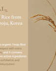 I’m From Rice Mask with Centella Asiatica, a soothing scrub that cleanses, brightens, and tightens skin while providing moisture and improving texture