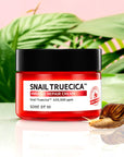 Some By Mi Snail Truecica Miracle Repair Cream – A skin repair cream with Snail Truecica, Tea Tree, Cica, and Mugwort to soothe, hydrate, and heal damaged skin. Perfect for sensitive skin.