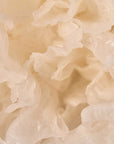 Key ingredients in Kaine Vegan Collagen Youth Cream: Snow Mushroom Extract, Vegan Collagen, Niacinamide, Adenosine, and Jojoba Oil