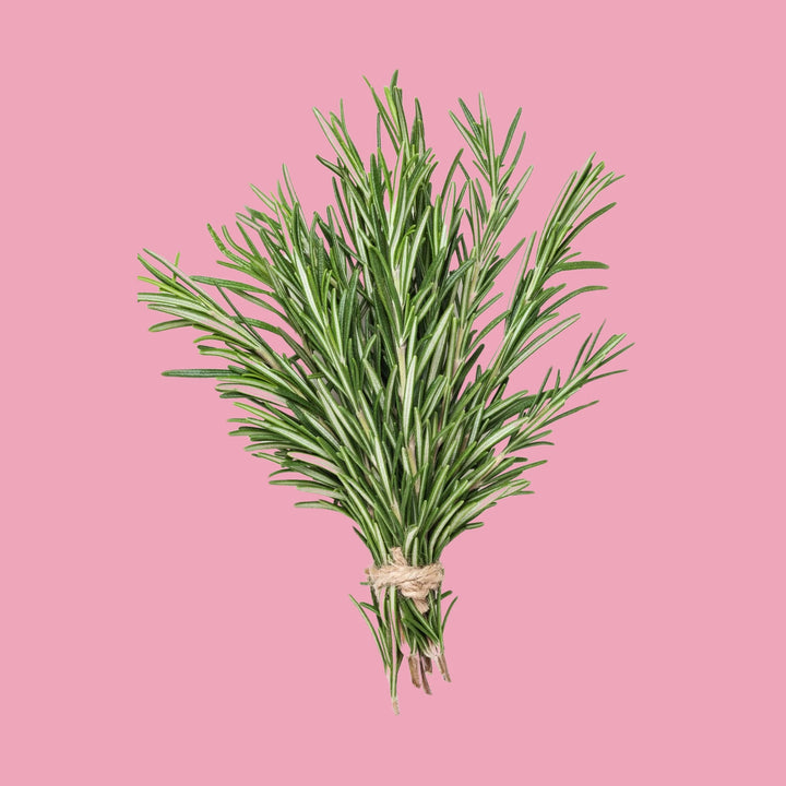 Rosemary 