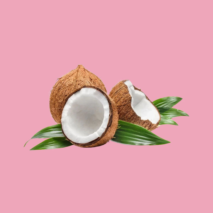 korean skincare and beauty Coconut