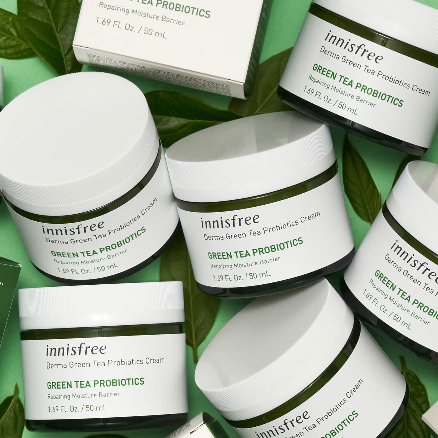 Innisfree Derma Green Tea Probiotics Cream