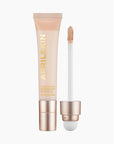 Aprilskin Perfect Spot Erasing Puff Concealer